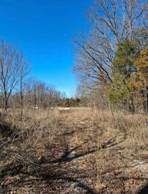 6237 Hunters Glen Rd, Seligman, MO, 65745-7301 | Card Image