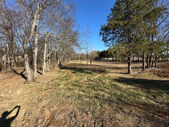 7540 Joe Rowlin Rd, House other with 3 bedrooms, 2 bathrooms and 4 parking in Christiana TN | Image 28