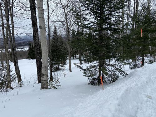 48 Alberts Ln, Warren, VT, 05674-9693 | Card Image