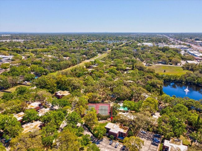 2644 2 Nd Ct, Townhouse with 2 bedrooms, 3 bathrooms and null parking in PALM HARBOR FL | Image 32