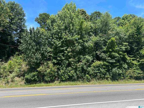 1-0 Highway 431, ROANOKE, AL, 36274 | Card Image