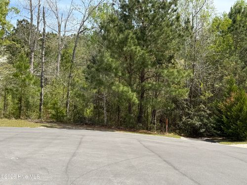 29-2981 Lyndhurst Ter Sw, Shallotte, NC, 28470-6088 | Card Image