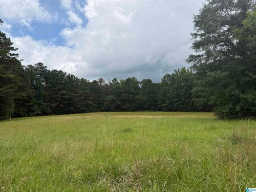 1-0 Hall Burton Road, Sumiton, AL, 35148 | Card Image