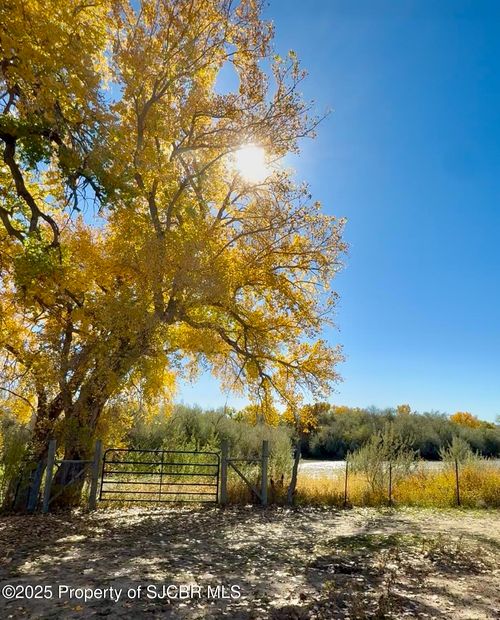 XX Road 4599, Blanco, NM, 87412 | Card Image