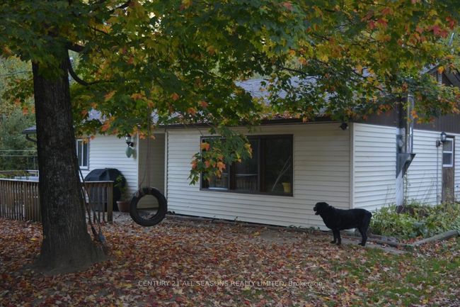 1081 Papineau Lake Rd, House other with 3 bedrooms, 1 bathrooms and 6 parking in Maple Leaf ON | Image 25