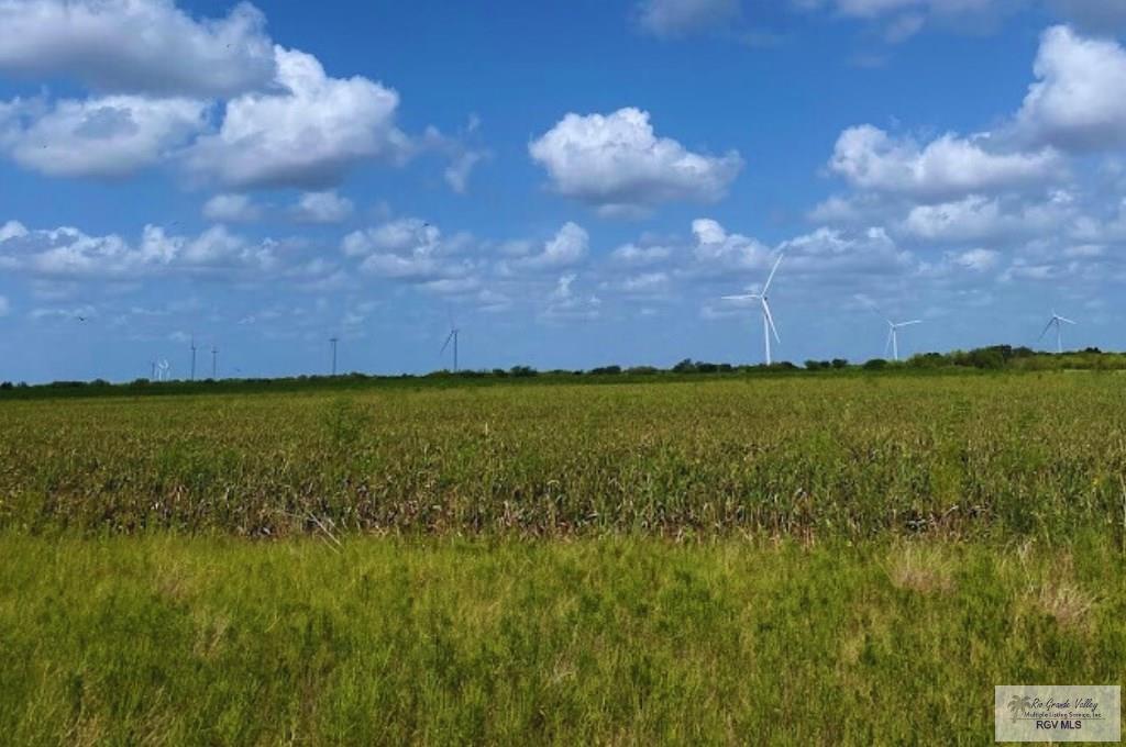 Land in Rio Hondo 3