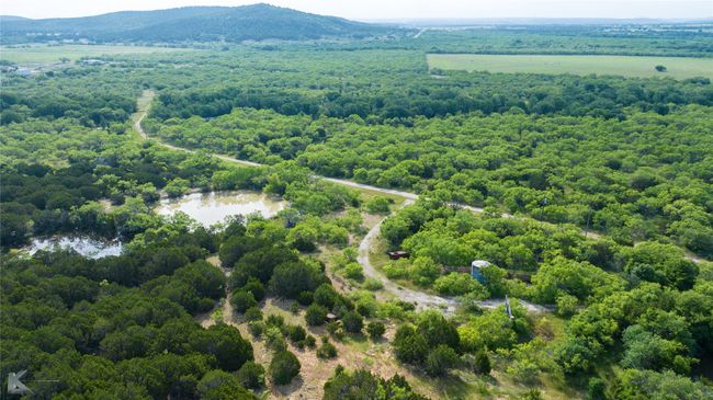 Drone / aerial view of a heavily wooded area and a mountainous background | Image 21