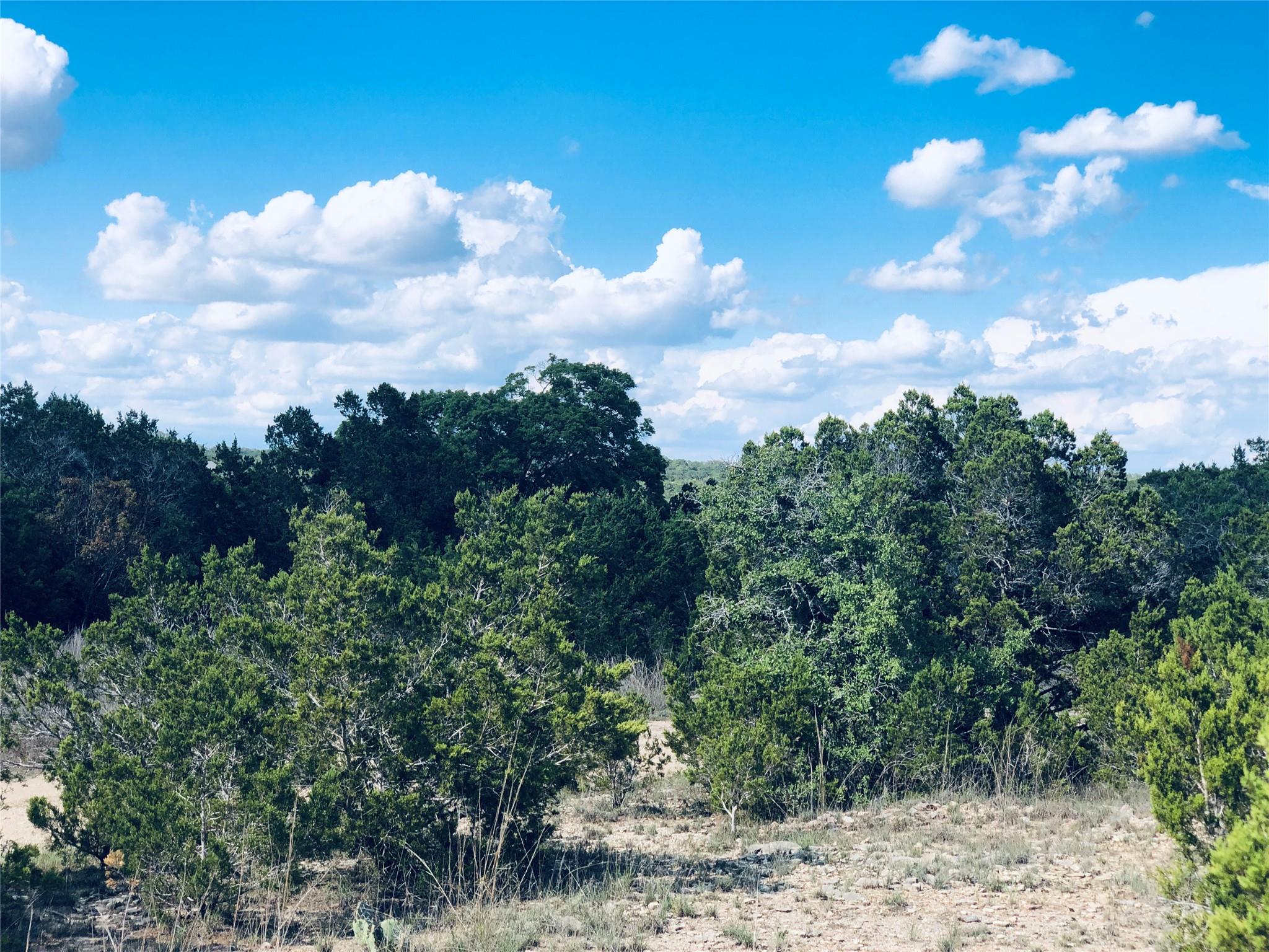 Land in Spring Branch