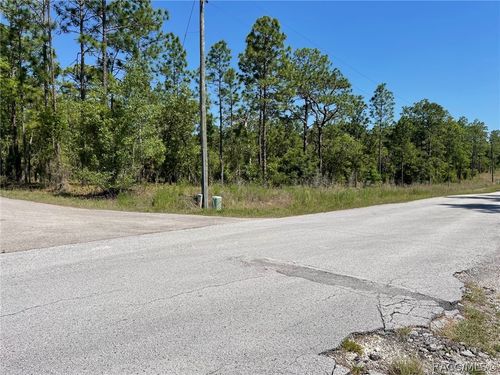 LOT 1 Nw Mandrake Drive, Dunnellon, FL, 34431 | Card Image