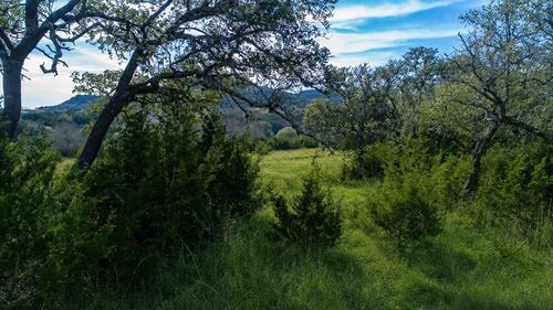 77-717 Bluff Ridge Trail, Blanco, TX, 78606 | Card Image