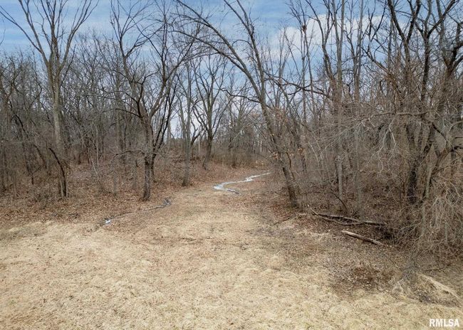 9721 234 Th St N, House other with 3 bedrooms, 2 bathrooms and null parking in Port Byron IL | Image 36