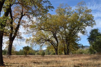 17 Sneezeweed Lane, Home with 0 bedrooms, 0 bathrooms and null parking in North Fork CA | Image 2