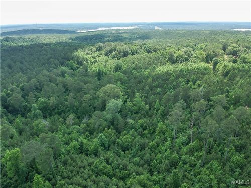 0 Hopewell Rd, Vance, AL, 35490 | Card Image