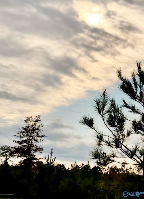 Lot 4 County Road 39, Piedmont, AL, 36272 | Card Image