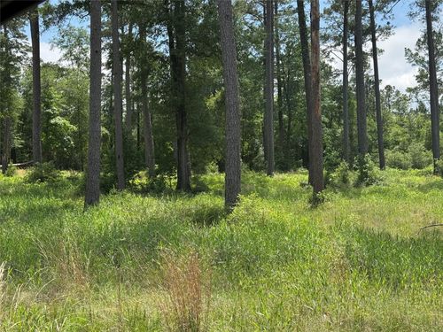 015 Private Road 6028, Brookeland, TX, 75931 | Card Image