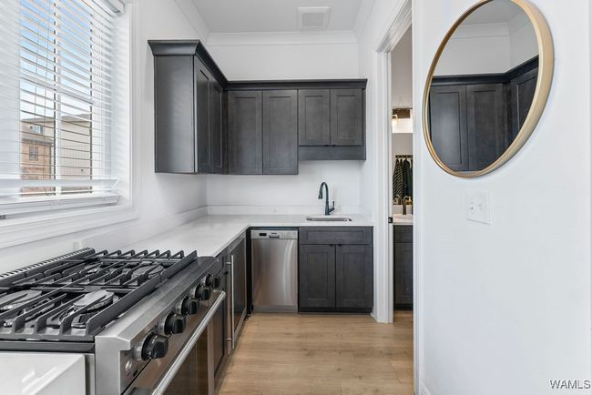 800 Red Drew Ave, Townhouse with 5 bedrooms, 6 bathrooms and null parking in Tuscaloosa AL | Image 16