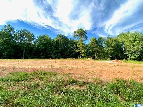 1-0 County Road 852, Ranburne, AL, 36273 | Card Image