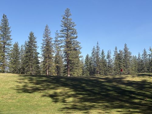 Lot 8-9 Harney Court, Weed, CA, 96094 | Card Image