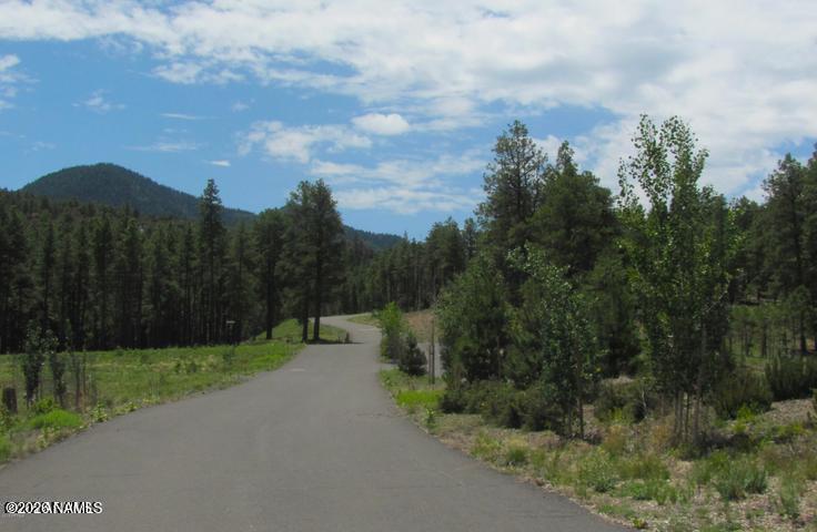 Land in Williams 2