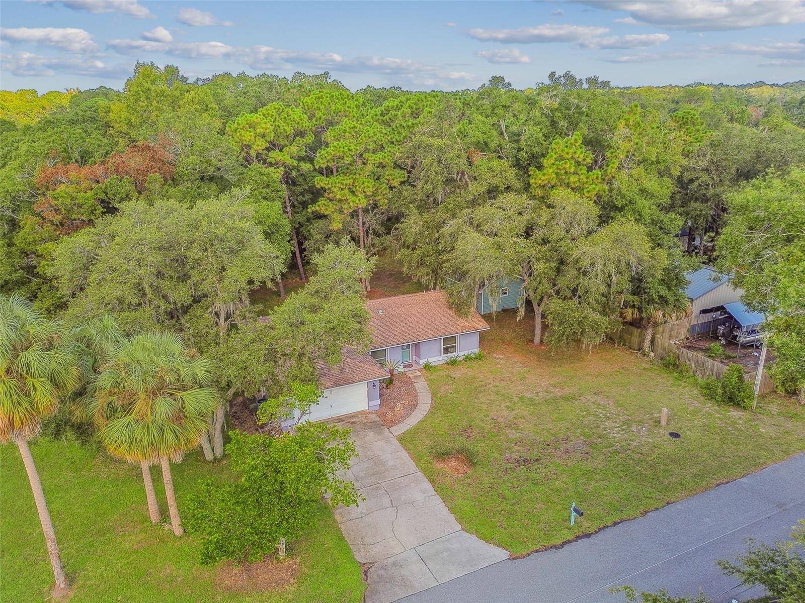 Michaelmas Ter, Crystal River, FL 34429