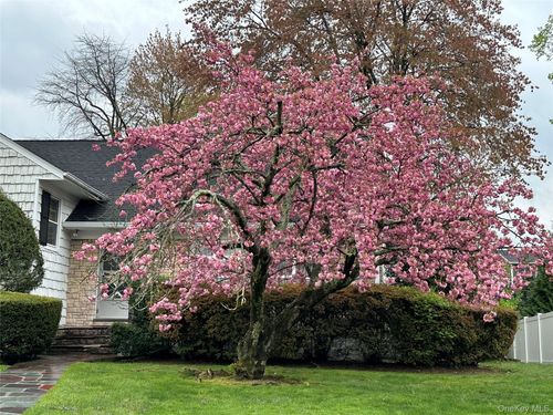 285 Stuart Drive, New Rochelle, NY, 10804 | Card Image