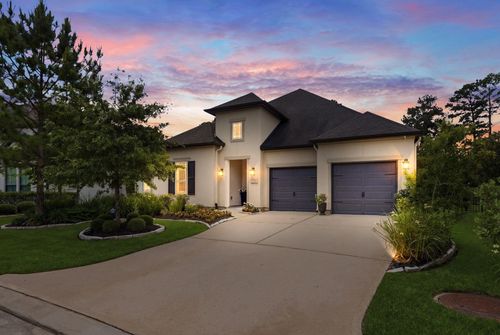 49 Snowdrop Lily Dr, Tomball, TX, 77375-1371 | Card Image