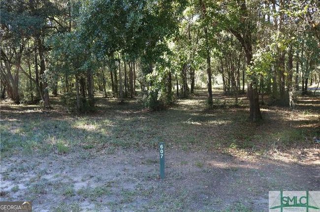 607 Coopers Landing Dr Ne, Home with 0 bedrooms, 0 bathrooms and null parking in Townsend GA | Image 4