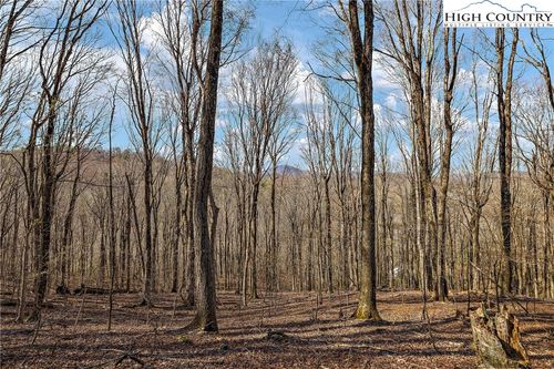 TBD Cobbs Creek Rd, Boone, NC, 28607 | Card Image