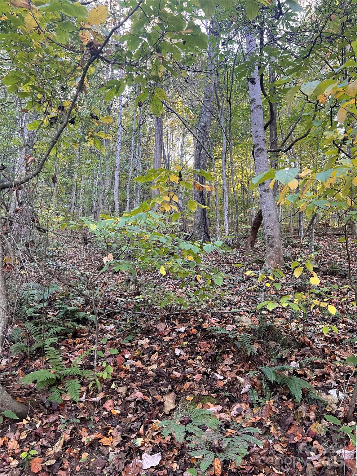 Land in Hot Springs 4