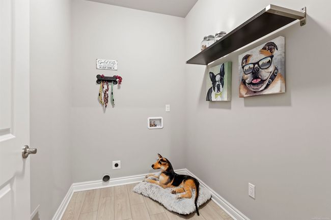 Laundry | Image 19