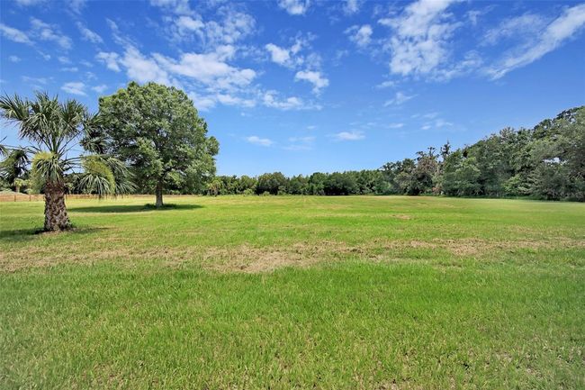 937 Old Welcome Rd, House other with 4 bedrooms, 5 bathrooms and null parking in LITHIA FL | Image 7