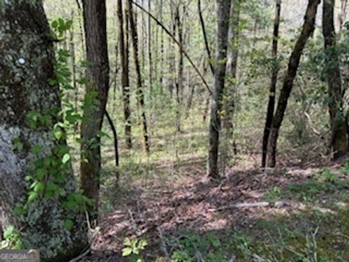 0 Bald Mountain Rd, Dillard, GA, 30537 | Card Image