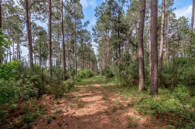 4785 Us Highway 287 S, Home with 4 bedrooms, 2 bathrooms and 3 parking in Crockett TX | Image 11