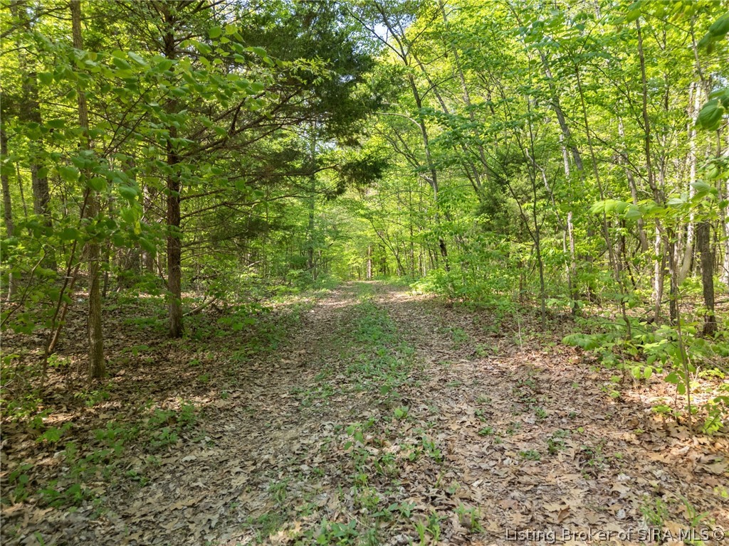 Land in French Lick 4