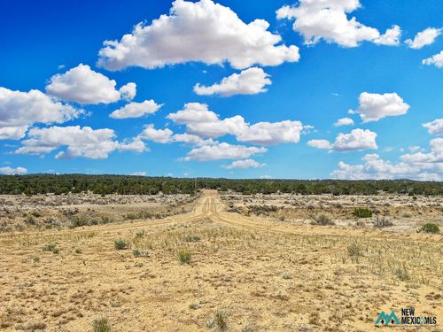 2-2 Lot - Slurry Rd, Pie Town, NM, 87827 | Card Image