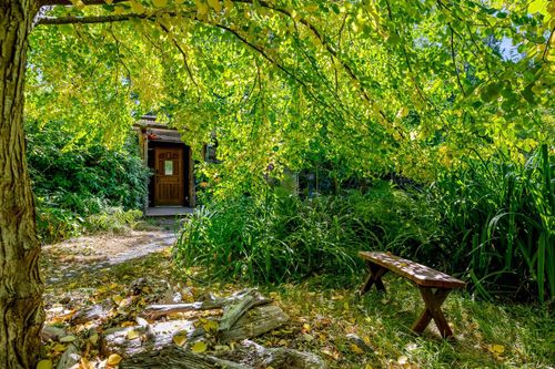 {{alt}} | Card Image