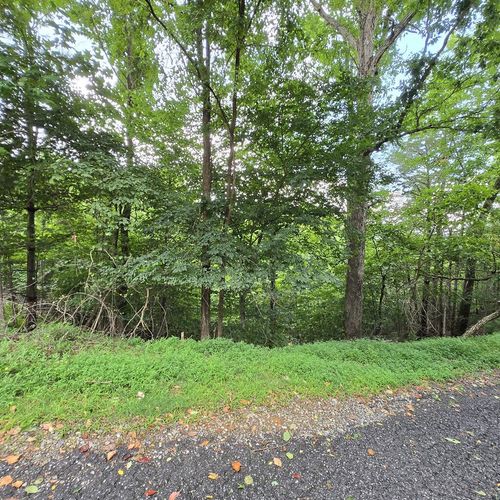 lot 71 Necowa Cove Overlook, Blue Ridge, GA, 30513 | Card Image