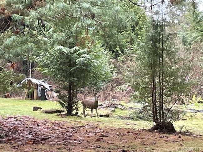 901 Isabella Point Rd, House other with 1 bedrooms, 1 bathrooms and 4 parking in Salt Spring Island BC | Image 4