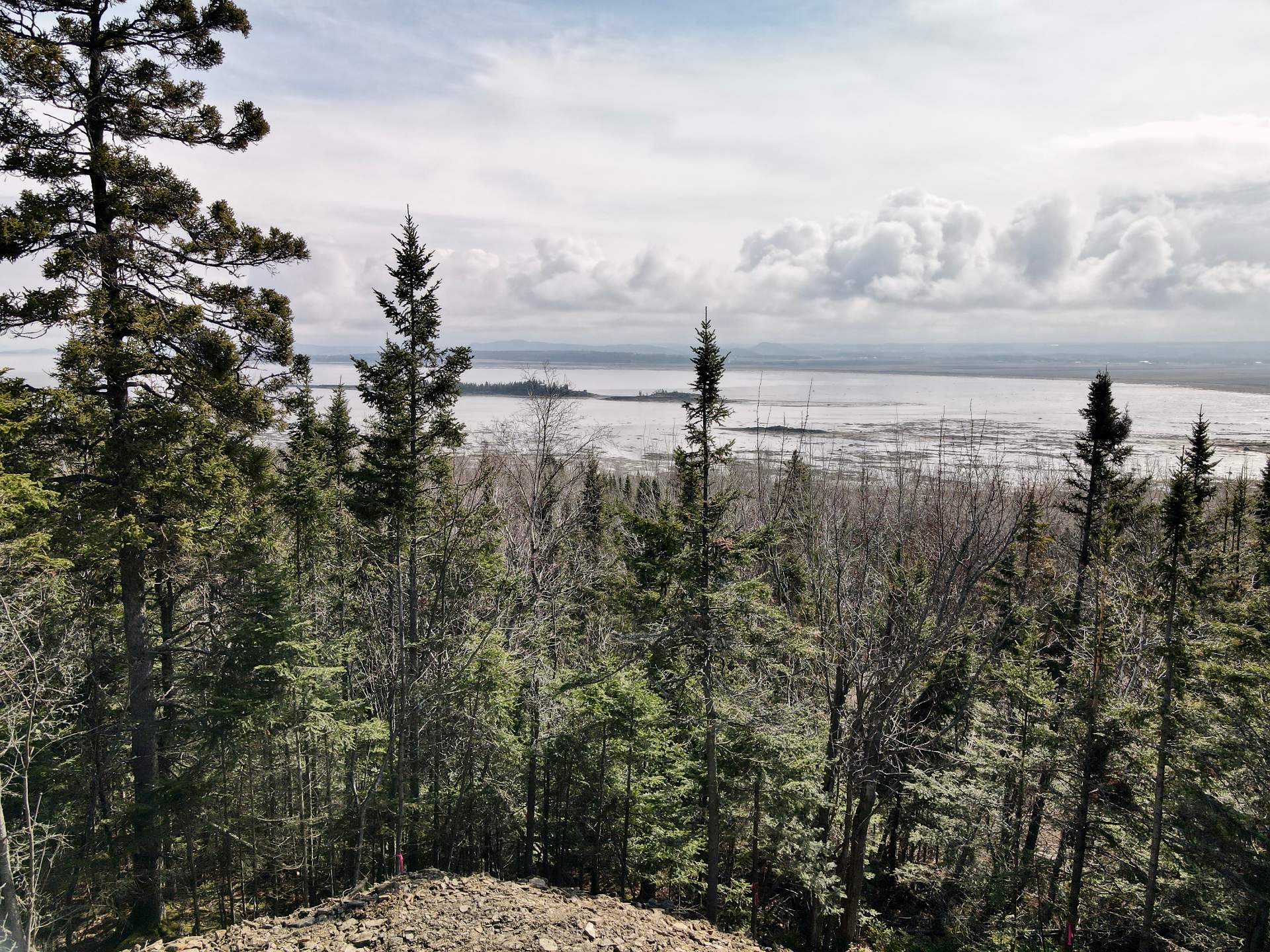Land in Saint-Denis-De La Bouteillerie