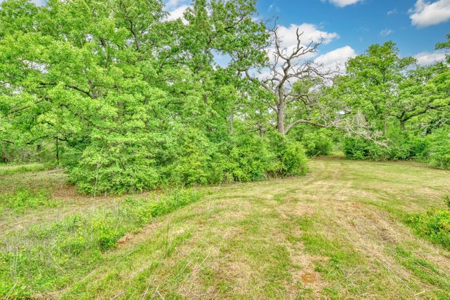 440 County Road 314, Home with 0 bedrooms, 0 bathrooms and 2 parking in Milano TX | Image 12