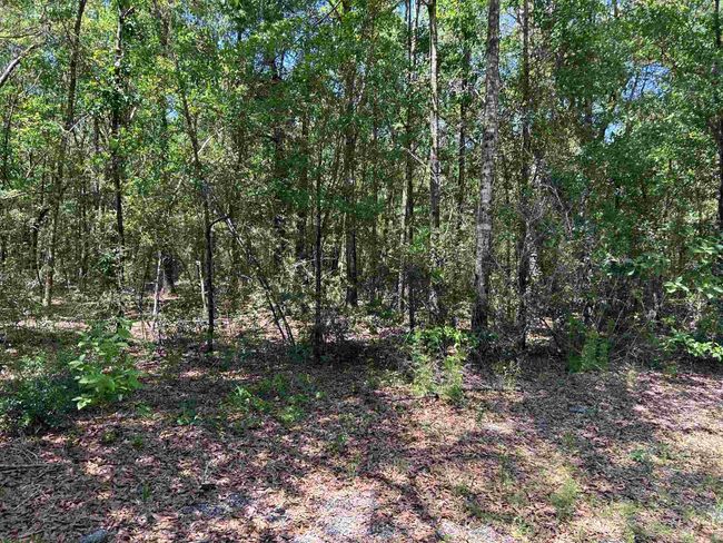 LOT 2 Kimbrell Ln, Home with 0 bedrooms, 0 bathrooms and null parking in Milton FL | Image 3