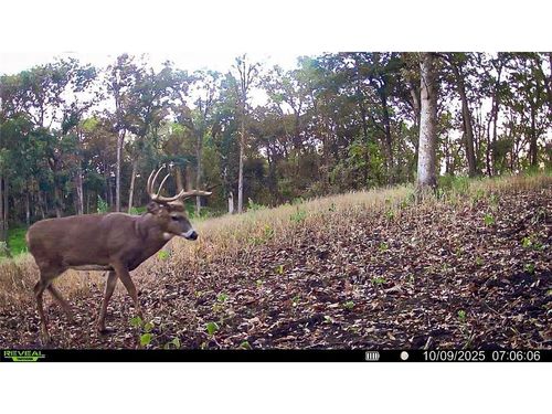 W27022 Whistle Pass Rd, Trempealeau, WI, 54661-8347 | Card Image