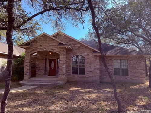 250 Palomino Trl, Natalia, TX, 78059-2651 | Card Image