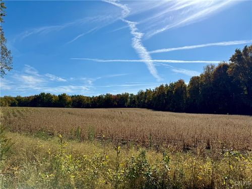 1241 County Line Rd, Fulton, NY, 13069-4762 | Card Image