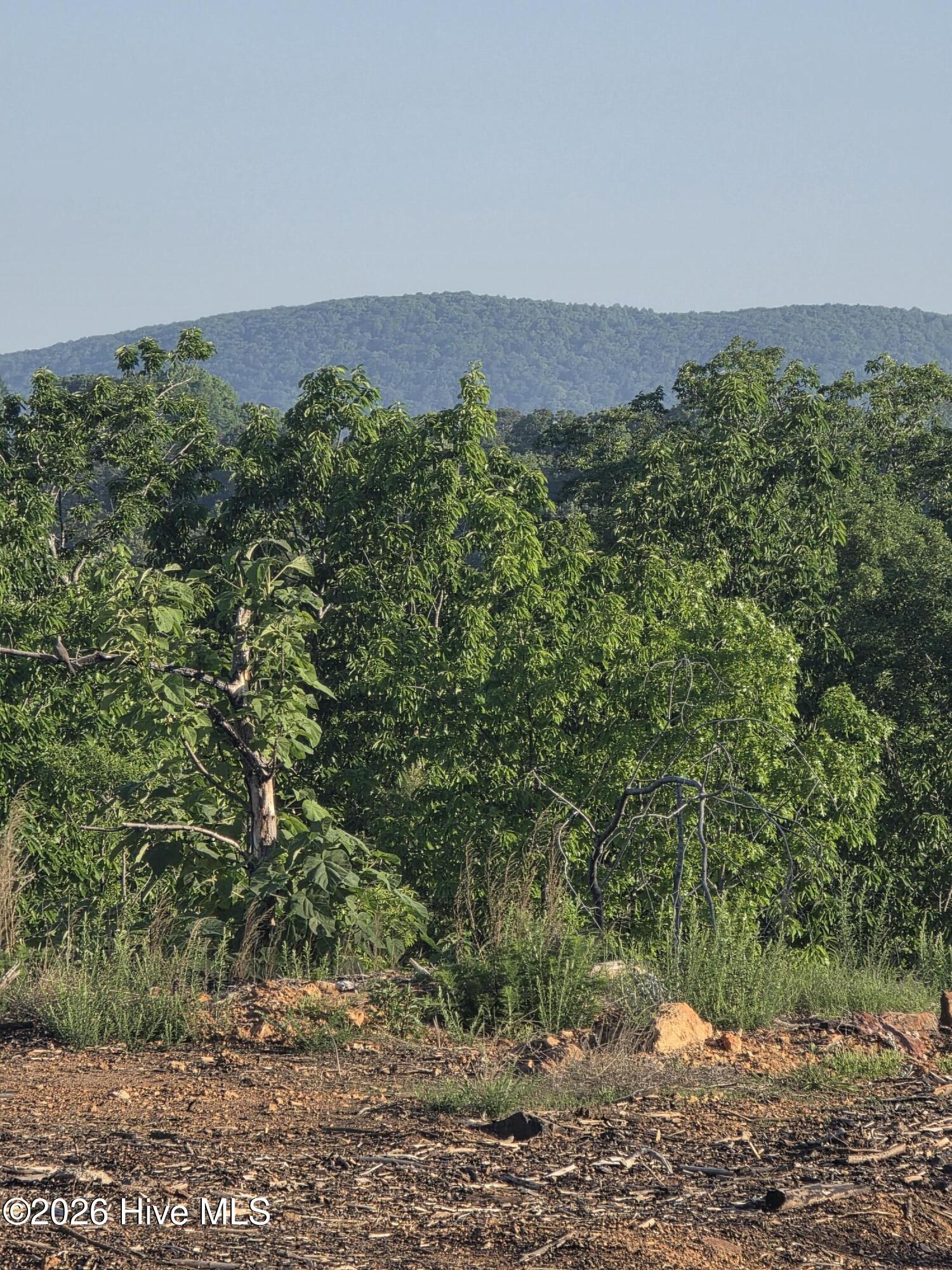 Land in Asheboro 2