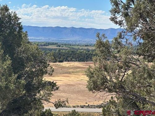 TBD Tbd Road V4 Road, Dolores, CO, 81323 | Card Image