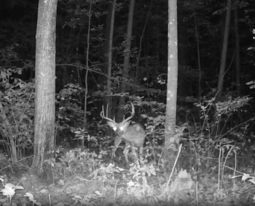 330 330th Street, Onamia, MN, 56359 | Card Image