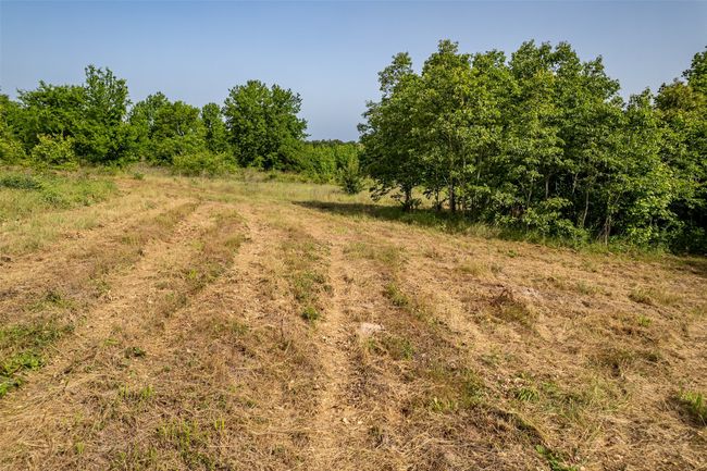 0 Johnson Rd, Home with 0 bedrooms, 0 bathrooms and null parking in Winona TX | Image 37