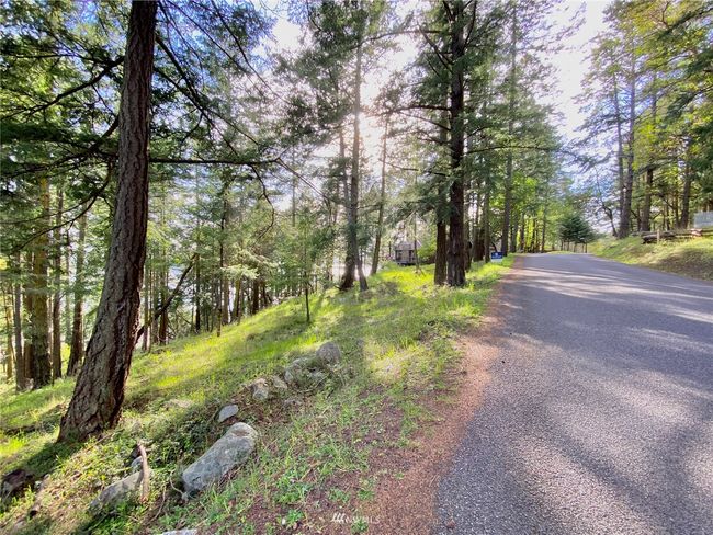 0 Afterglow Dr, Home with 0 bedrooms, 0 bathrooms and null parking in Friday Harbor WA | Image 8