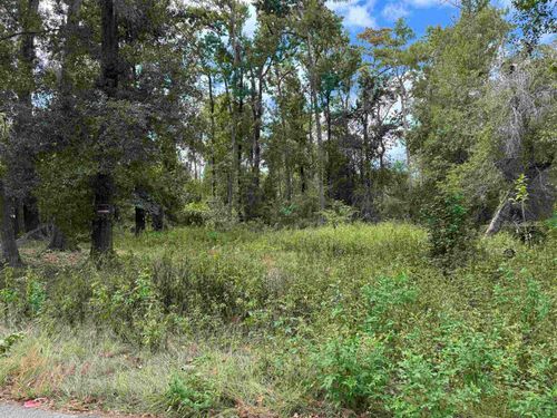 xxx Cactus St, TALLAHASSEE, FL, 32304 | Card Image